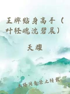 王牌貼身高手（葉輕魂沈碧晨）