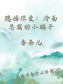 隱婚掠愛：冷面總裁的小騙子