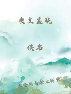 爽文孟曉