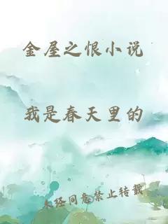 金屋之恨小說