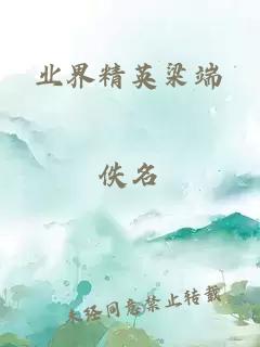 業(yè)界精英梁端