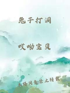 兔子打洞