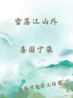 雪落江山外