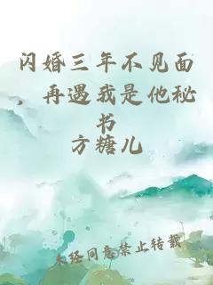 閃婚三年不見面，再遇我是他秘書