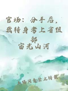 官場：分手后，我轉(zhuǎn)身考上省組部