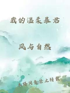 我的溫柔暴君