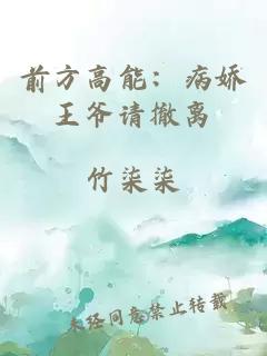 前方高能：病嬌王爺請撤離