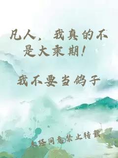 凡人，我真的不是大乘期！