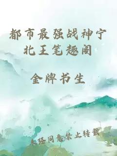 都市最強戰(zhàn)神寧北王筆趣閣