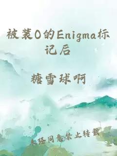 被裝O的Enigma標記后