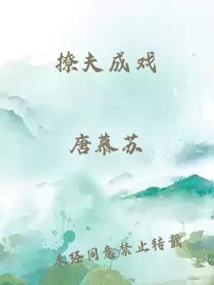 撩夫成戲