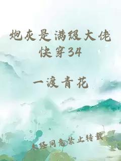 炮灰是滿(mǎn)級(jí)大佬快穿34