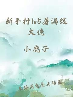 新手村lv5屠滿級大佬