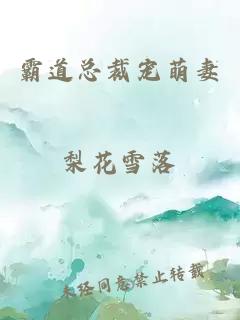 霸道總裁寵萌妻