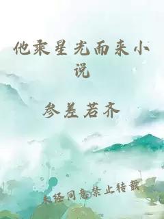 他乘星光而來(lái)小說(shuō)