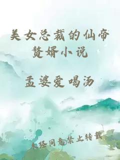 美女總裁的仙帝贅婿小說