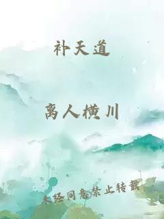 補天道
