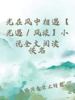 光在風中相遇【光遇／風旅】小說全文閱讀