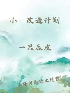 小茓改造計劃