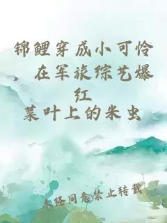 錦鯉穿成小可憐，在軍旅綜藝爆紅