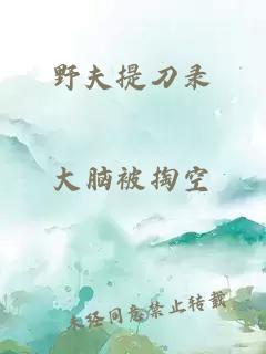 野夫提刀錄
