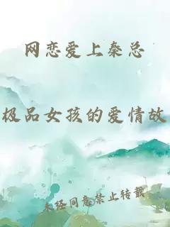 網(wǎng)戀愛上秦總
