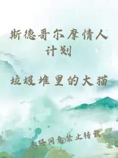 斯德哥爾摩情人計(jì)劃