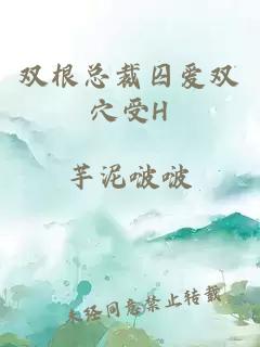 雙根總裁囚愛雙穴受H
