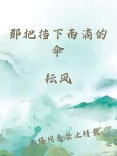那把擋下雨滴的傘