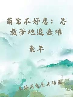 萌寶不好惹：總裁爹地追妻難
