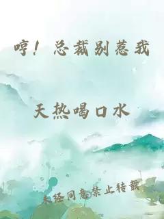 哼！總裁別惹我