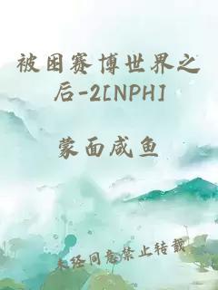 被困賽博世界之后-2[NPH]