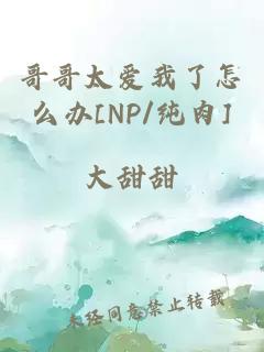 哥哥太愛我了怎么辦[NP/純?nèi)鈃