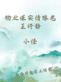 物業(yè)保安情緣老王許靜