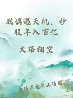 我偶遇天機(jī)，炒股年入百億