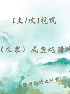 [主/攻]視線