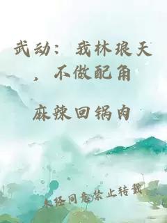武動(dòng)：我林瑯天，不做配角