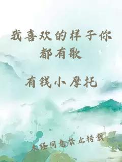 我喜歡的樣子你都有歌