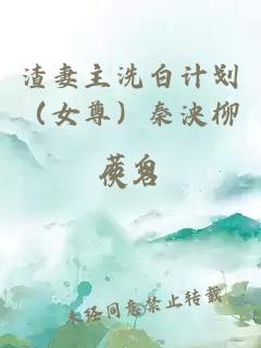 渣妻主洗白計(jì)劃（女尊）秦泱柳若白